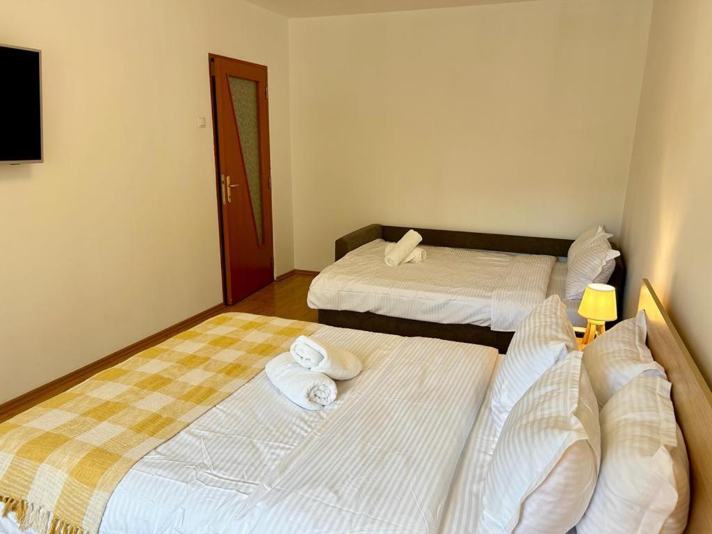 Jad - Family - Apartments - Zorilor บราชอฟ ภายนอก รูปภาพ