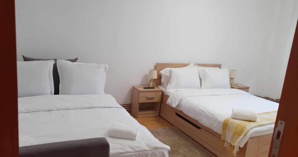 Jad - Family - Apartments - Zorilor บราชอฟ ภายนอก รูปภาพ